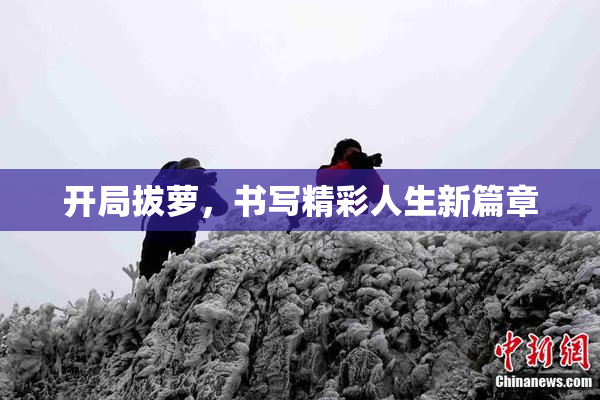 开局拔萝，书写精彩人生新篇章