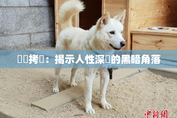 緊縛拷問：揭示人性深處的黑暗角落