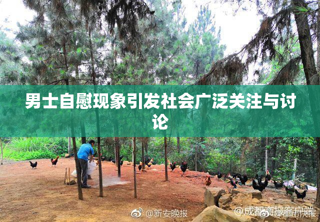 男士自慰现象引发社会广泛关注与讨论