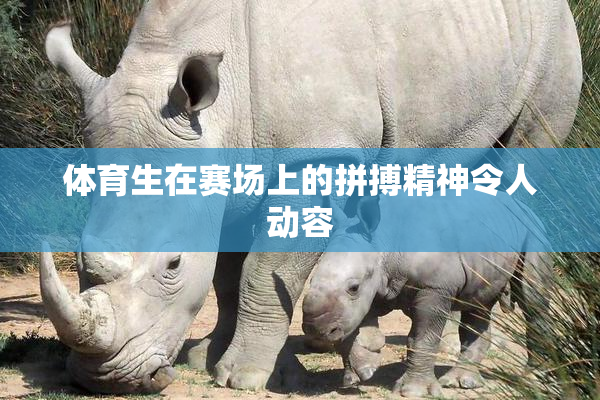 体育生在赛场上的拼搏精神令人动容