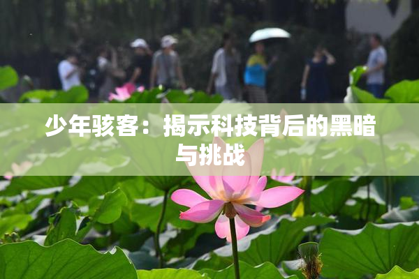 少年骇客：揭示科技背后的黑暗与挑战