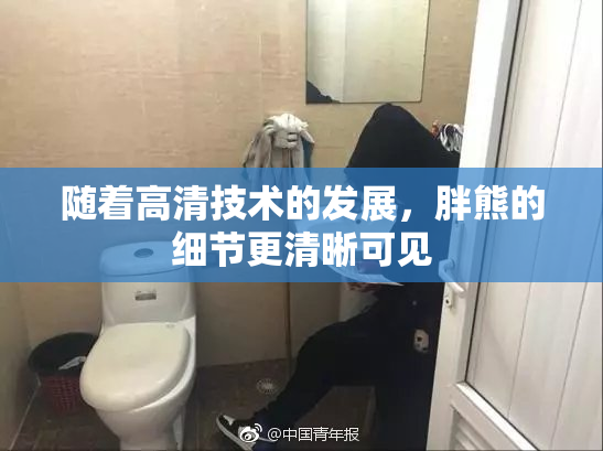 随着高清技术的发展，胖熊的细节更清晰可见