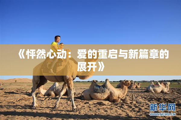 《怦然心动：爱的重启与新篇章的展开》