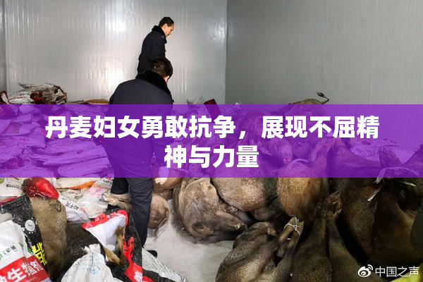 丹麦妇女勇敢抗争，展现不屈精神与力量