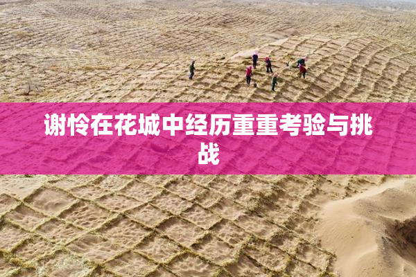 谢怜在花城中经历重重考验与挑战