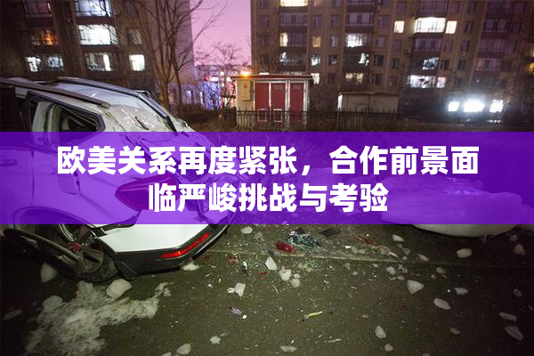欧美关系再度紧张，合作前景面临严峻挑战与考验