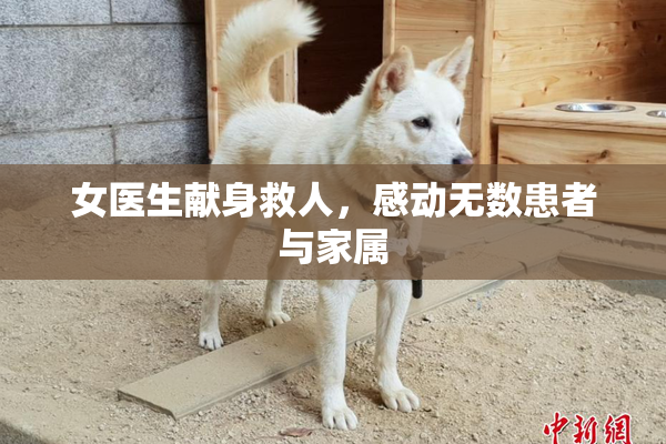 女医生献身救人，感动无数患者与家属