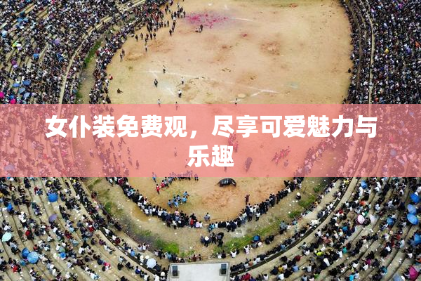 女仆装免费观，尽享可爱魅力与乐趣