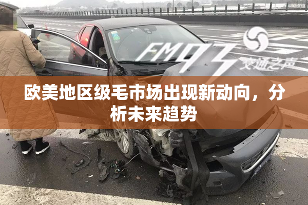 欧美地区级毛市场出现新动向，分析未来趋势