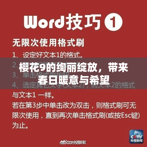 樱花9的绚丽绽放，带来春日暖意与希望