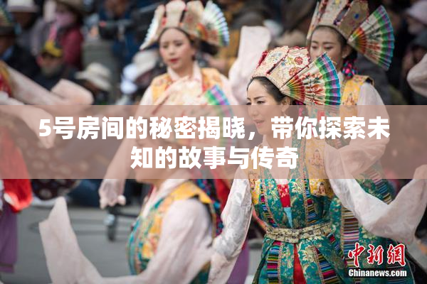 5号房间的秘密揭晓，带你探索未知的故事与传奇