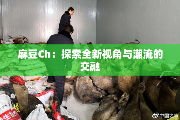 麻豆Ch：探索全新视角与潮流的交融