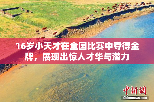 16岁小天才在全国比赛中夺得金牌，展现出惊人才华与潜力