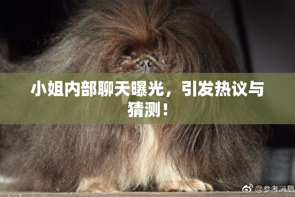 小姐内部聊天曝光，引发热议与猜测！