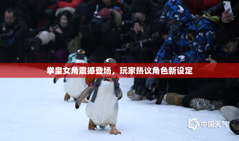 拳皇女角震撼登场，玩家热议角色新设定
