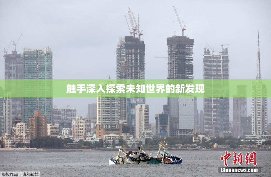 触手深入探索未知世界的新发现