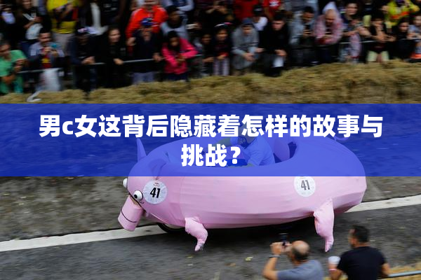 男c女这背后隐藏着怎样的故事与挑战？