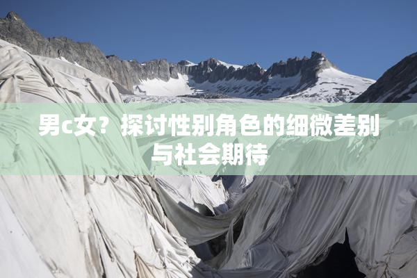 男c女？探讨性别角色的细微差别与社会期待