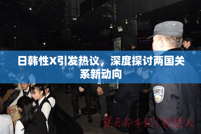 日韩性X引发热议，深度探讨两国关系新动向