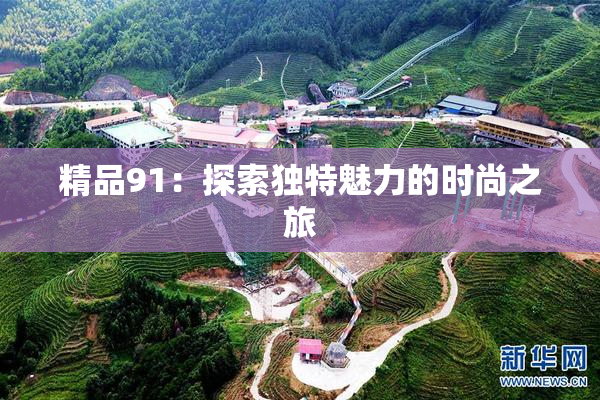 精品91：探索独特魅力的时尚之旅