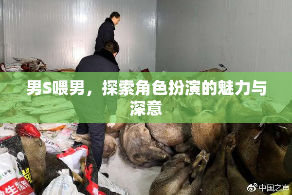 男S喂男，探索角色扮演的魅力与深意