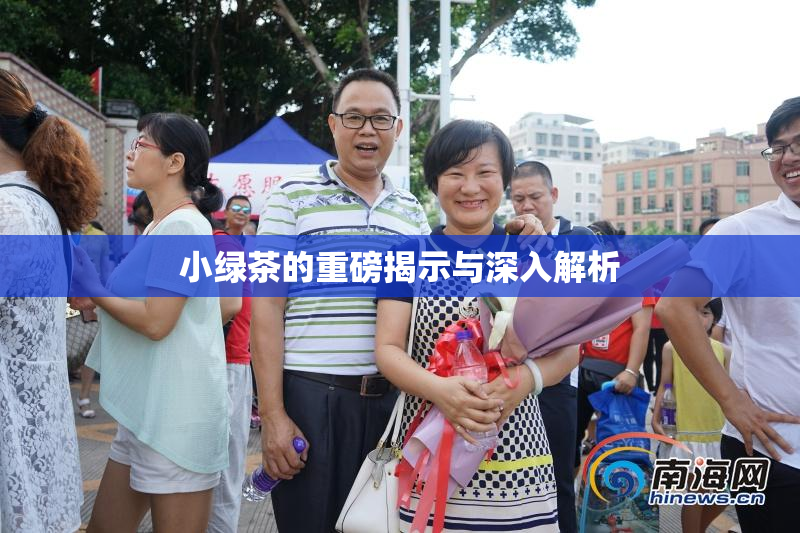 小绿茶的重磅揭示与深入解析