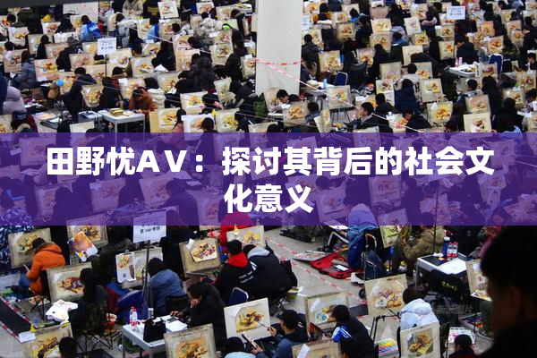 田野忧AⅤ：探讨其背后的社会文化意义