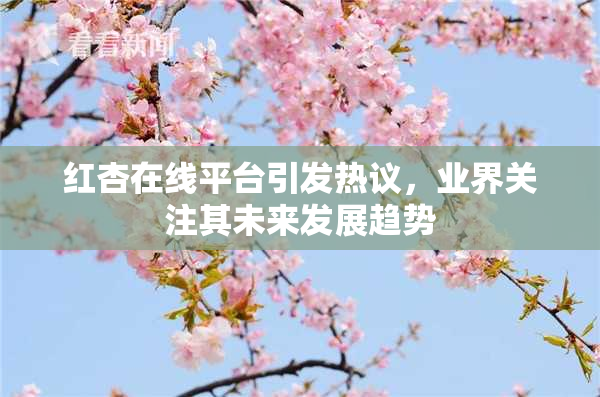 红杏在线平台引发热议，业界关注其未来发展趋势