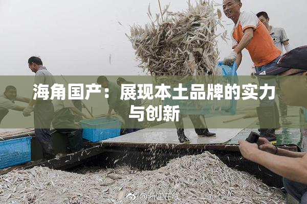 海角国产：展现本土品牌的实力与创新