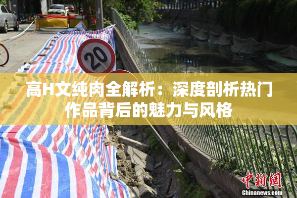 高H文纯肉全解析：深度剖析热门作品背后的魅力与风格