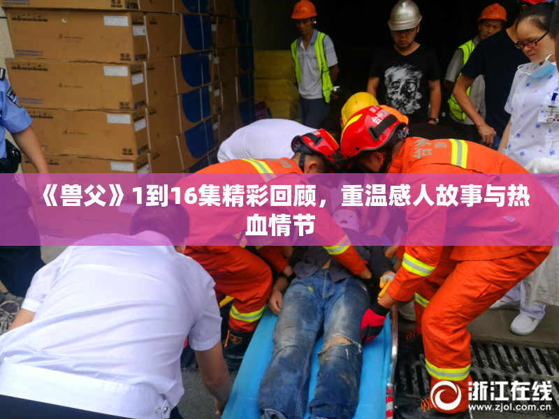 《兽父》1到16集精彩回顾，重温感人故事与热血情节