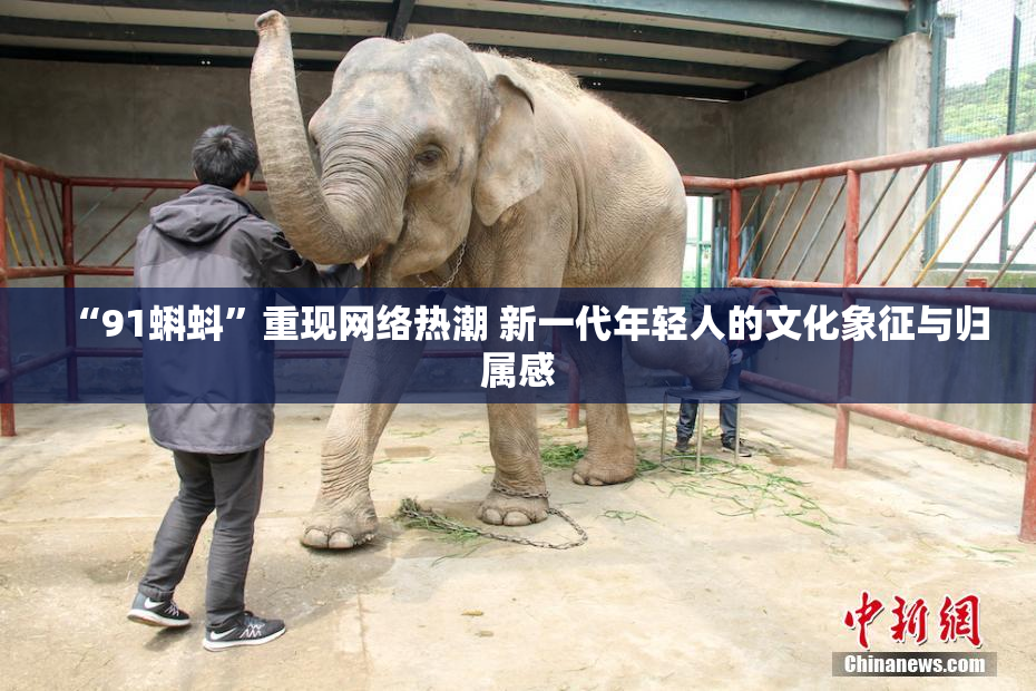 “91蝌蚪”重现网络热潮 新一代年轻人的文化象征与归属感