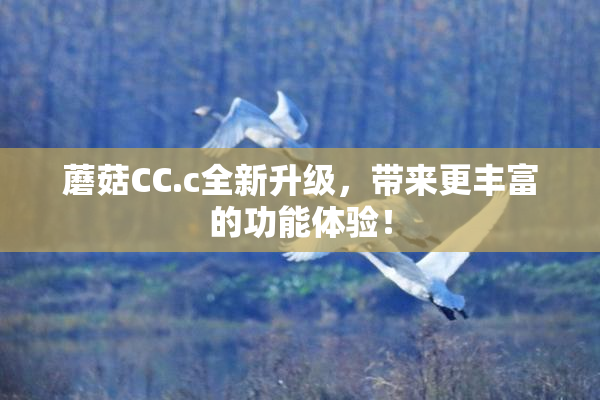 蘑菇CC.c全新升级，带来更丰富的功能体验！