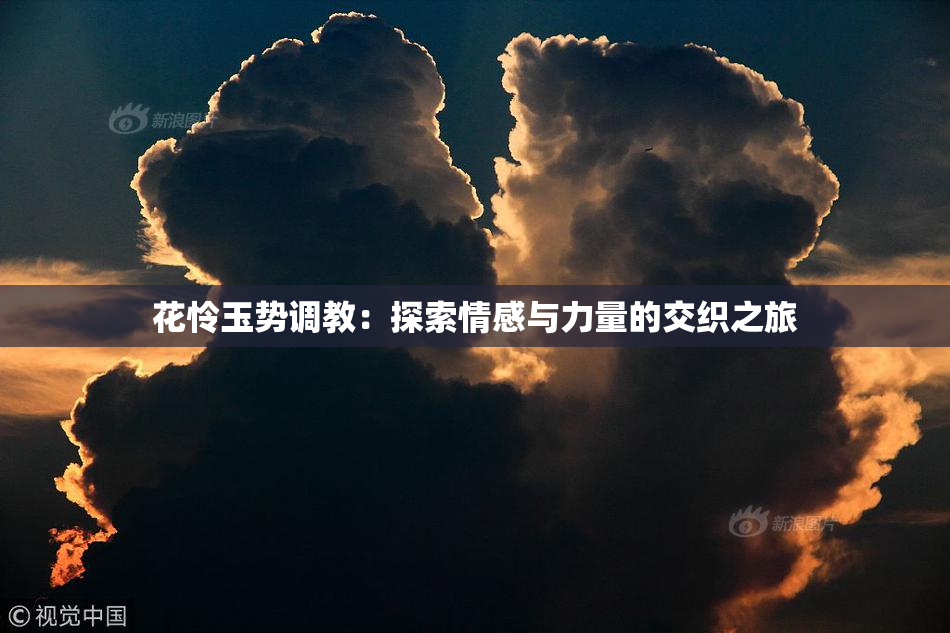 花怜玉势调教：探索情感与力量的交织之旅
