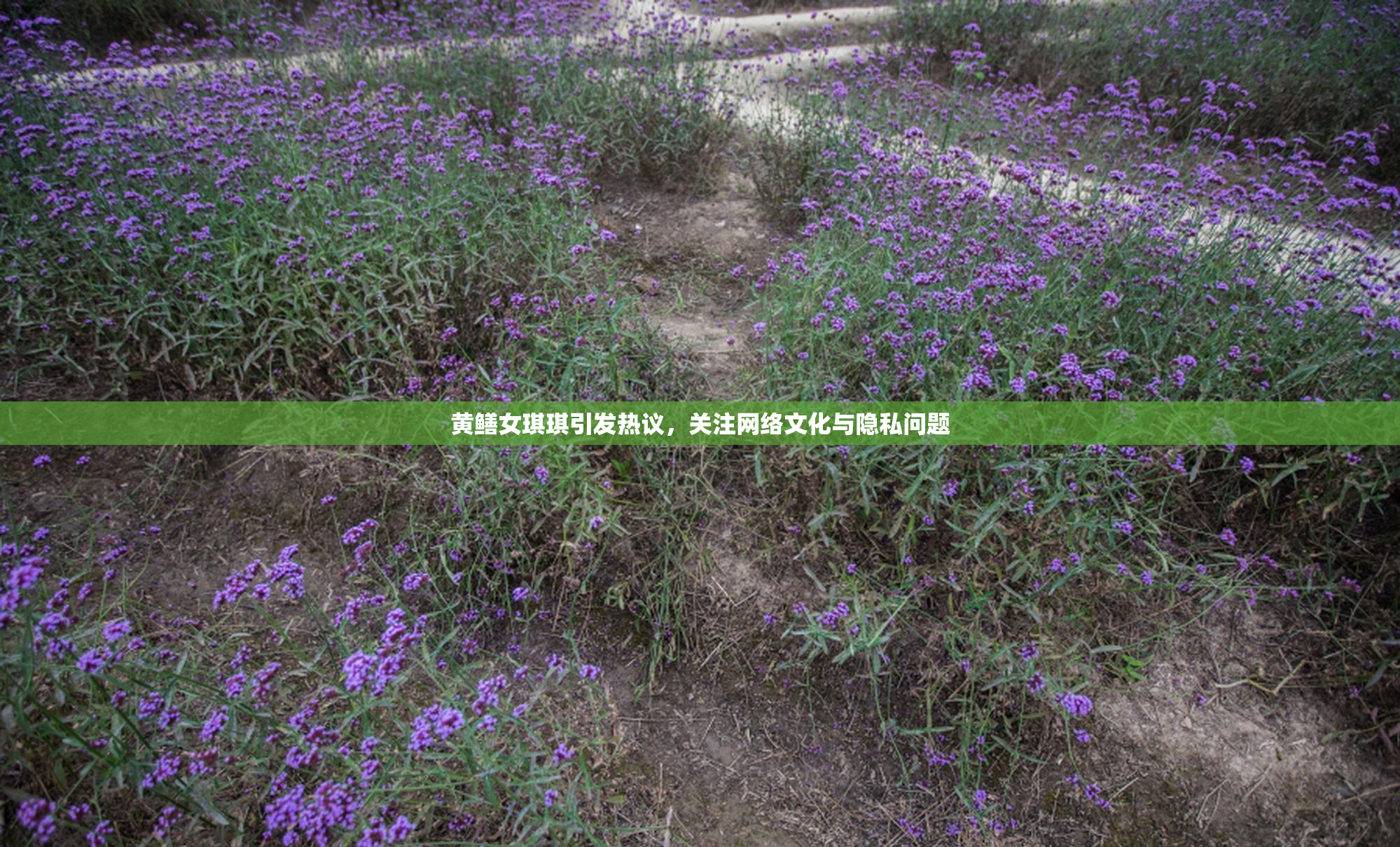 黄鳝女琪琪引发热议，关注网络文化与隐私问题