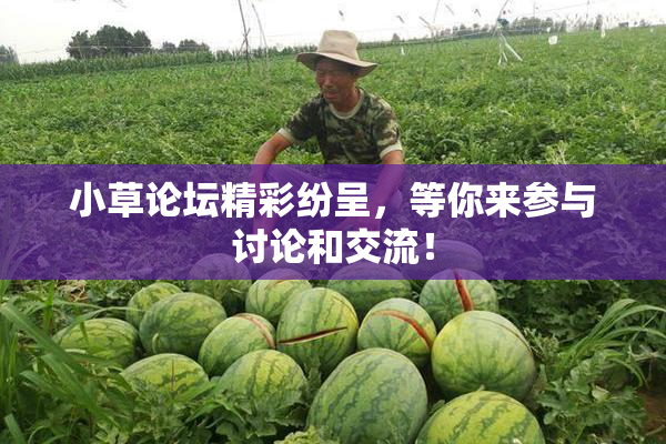 小草论坛精彩纷呈，等你来参与讨论和交流！