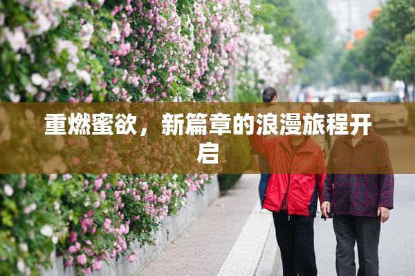 重燃蜜欲，新篇章的浪漫旅程开启