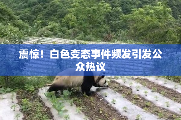 震惊！白色变态事件频发引发公众热议