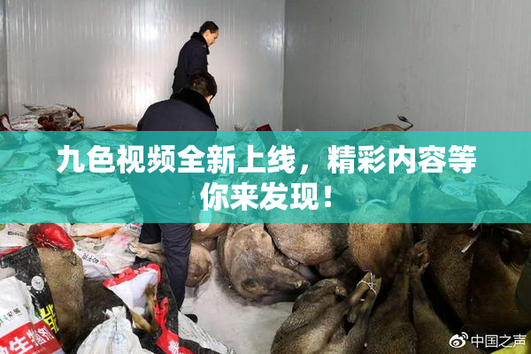 九色视频全新上线，精彩内容等你来发现！