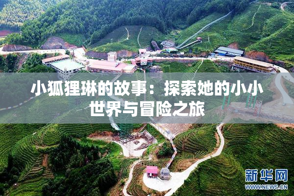 小狐狸琳的故事：探索她的小小世界与冒险之旅