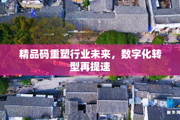 精品码重塑行业未来，数字化转型再提速