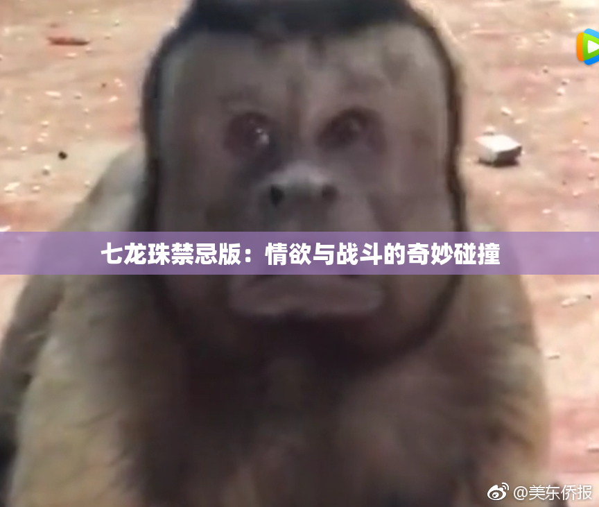 七龙珠禁忌版：情欲与战斗的奇妙碰撞