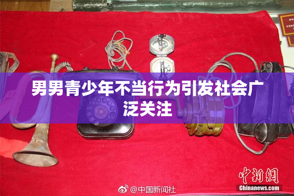 男男青少年不当行为引发社会广泛关注