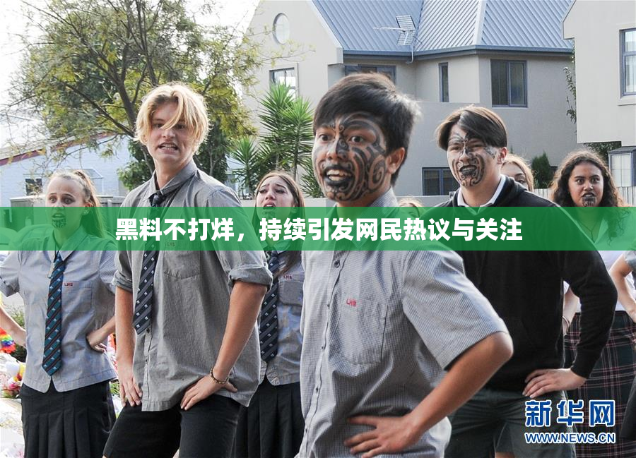 黑料不打烊，持续引发网民热议与关注