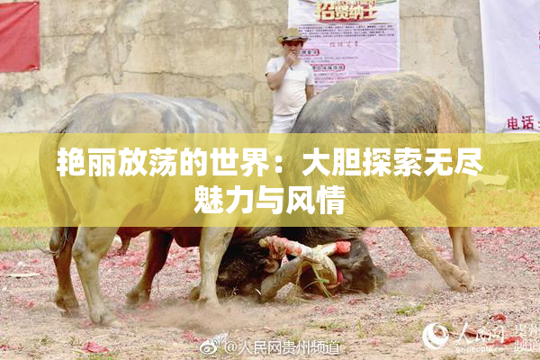 艳丽放荡的世界：大胆探索无尽魅力与风情