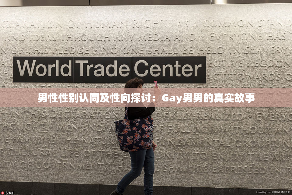 男性性别认同及性向探讨：Gay男男的真实故事