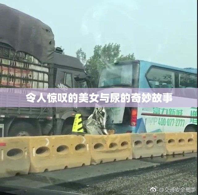 令人惊叹的美女与尿的奇妙故事