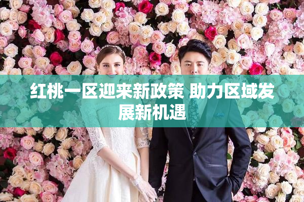 红桃一区迎来新政策 助力区域发展新机遇