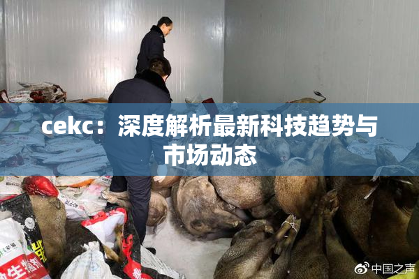 cekc：深度解析最新科技趋势与市场动态