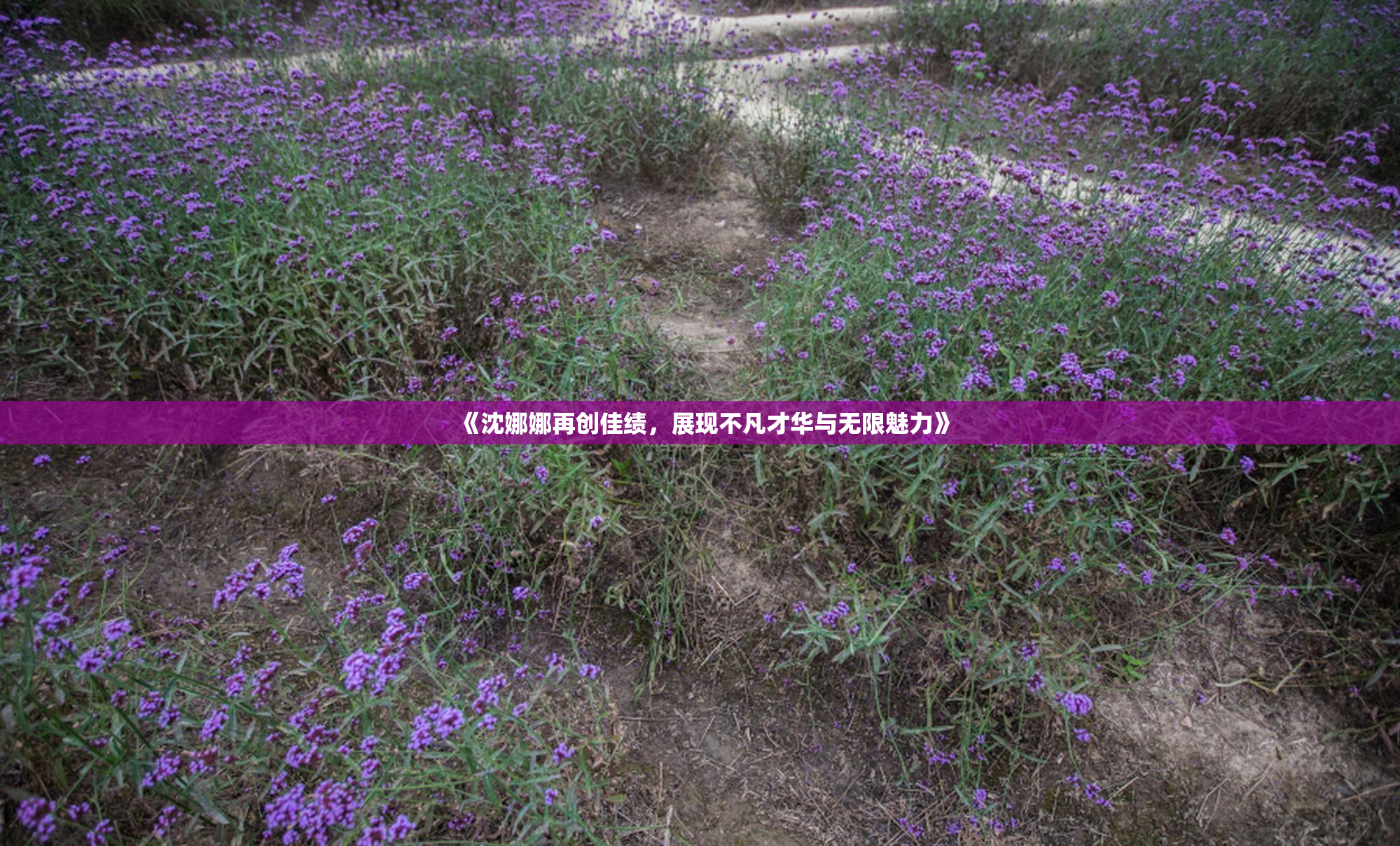 《沈娜娜再创佳绩，展现不凡才华与无限魅力》
